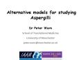 Alternative models for studying Aspergilli PowerPoint PPT Presentation