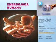 Embriolog