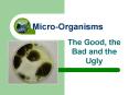 The Good, the Bad and the Ugly PowerPoint PPT Presentation