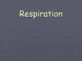 Respiration PowerPoint PPT Presentation