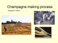 Champagne making process PowerPoint PPT Presentation