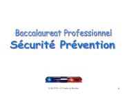 Baccalaureat Professionnel
