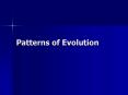 Patterns of Evolution PowerPoint PPT Presentation