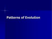 Patterns of Evolution