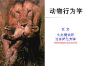 asterzhang@vip.sina.com