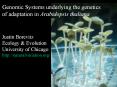Genomic Systems underlying the genetics of adaptation in Arabidopsis thaliana  Justin Borevitz Ecology PowerPoint PPT Presentation