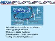 Automatic and manual sequence alignment