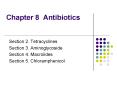 Chapter 8 Antibiotics PowerPoint PPT Presentation