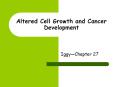 Altered Cell Growth and Cancer Development PowerPoint PPT Presentation