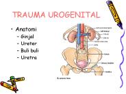 TRAUMA UROGENITAL