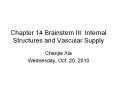 Chapter 14 Brainstem III: Internal Structures and Vascular Supply PowerPoint PPT Presentation