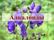 ????????? - ?????????????? ???????? ???