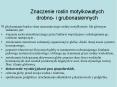Znaczenie roslin motylkowatych drobno- i grubonasiennych PowerPoint PPT Presentation
