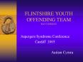 FLINTSHIRE YOUTH OFFENDING TEAM RAY DICKSON PowerPoint PPT Presentation