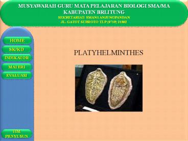 MUSYAWARAH GURU MATA PELAJARAN BIOLOGI SMA/MA