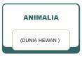ANIMALIA PowerPoint PPT Presentation