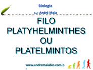 FILO PLATYHELMINTHES OU PLATELMINTOS