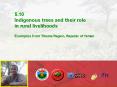 5.10 Indigenous trees and their role in rural livelihoods Examples from Tihama Region, Repubic of Yemen PowerPoint PPT Presentation