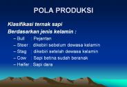 POLA PRODUKSI