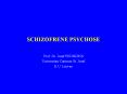 SCHIZOFRENE PSYCHOSE PowerPoint PPT Presentation