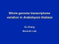 Whole genome transcriptome variation in Arabidopsis thaliana PowerPoint PPT Presentation
