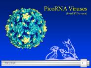 PicoRNA Viruses (Small RNA virus)