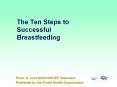 The Ten Steps to Successful Breastfeeding PowerPoint PPT Presentation