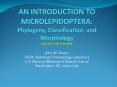 AN INTRODUCTION TO MICROLEPIDOPTERA: Phylogeny, Classification, and Morphology (gag me with a spoon!) PowerPoint PPT Presentation