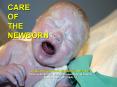 CARE OF THE NEWBORN PowerPoint PPT Presentation