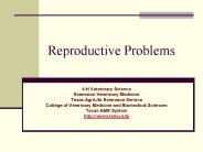 Reproductive Problems