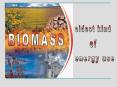 BIOMASS PowerPoint PPT Presentation
