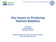 Key issues on Producing Nutrient Statistics
