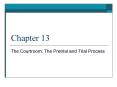 The Courtroom: The Pretrial and Trial Process PowerPoint PPT Presentation