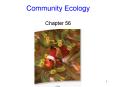 Community Ecology Chapter 56 PowerPoint PPT Presentation