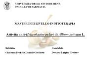 Attivit
