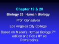 Biology 25: Human Biology PowerPoint PPT Presentation