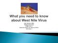 What you need to know about West Nile Virus PowerPoint PPT Presentation