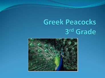 Greek Peacocks  3rd Grade