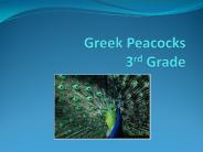Greek Peacocks  3rd Grade