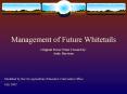 Management of Future Whitetails PowerPoint PPT Presentation