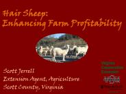 Hair Sheep: Enhancing Farm Profitability