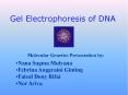 Gel Electrophoresis of DNA PowerPoint PPT Presentation