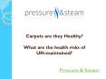 Carpets are they Healthy?  What are the health risks of UN-maintained? PowerPoint PPT Presentation