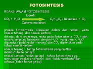 FOTOSINTESIS