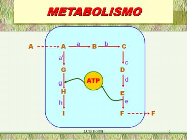METABOLISMO
