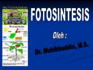 Metabolisme