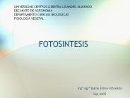 FOTOSINTESIS