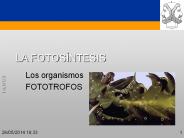 LA FOTOS