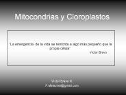 Mitocondrias y Cloroplastos