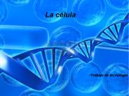 Diapositiva 1